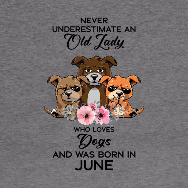 Never Underestimate An Old Woman Who Loves Dogs And Was Born In June by Happy Solstice